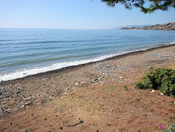 Foto av Delfinia Stranden bekvämlighetsområde
