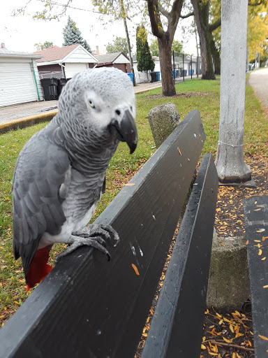 Park «Pasteur Park», reviews and photos, 5825 S Kostner Ave, Chicago, IL 60629, USA