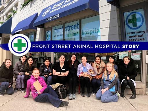 Front Street Animal Hospital Toronto