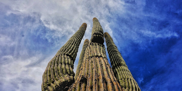 City of Scottsdale - Brown's Ranch Trailhead