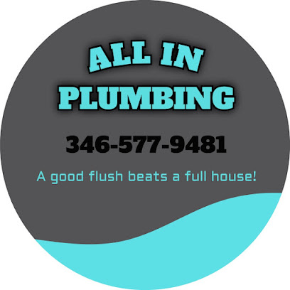 All-In Plumbing