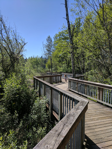 Park «Cottage Lake Park», reviews and photos, NE Woodinville Duvall Rd, Woodinville, WA 98072, USA
