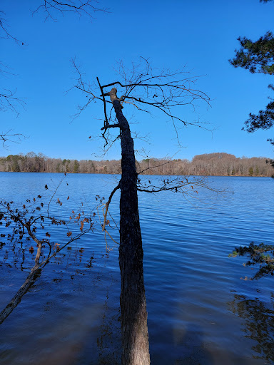 Golf Course «Bur-Mil Park Golf Course», reviews and photos, 5834 Bur-Mill Club Rd, Greensboro, NC 27410, USA