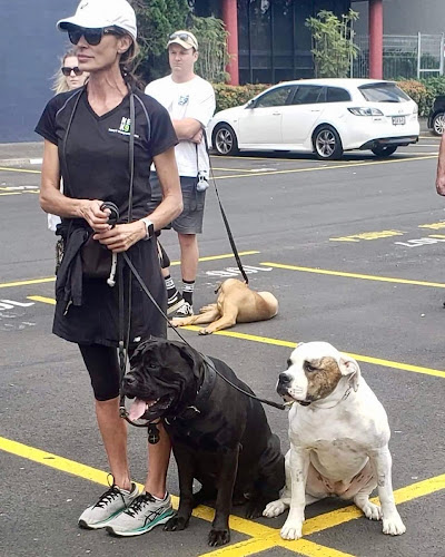 NEK9 PROFESSIONAL DOG TRAINING - Dog trainer