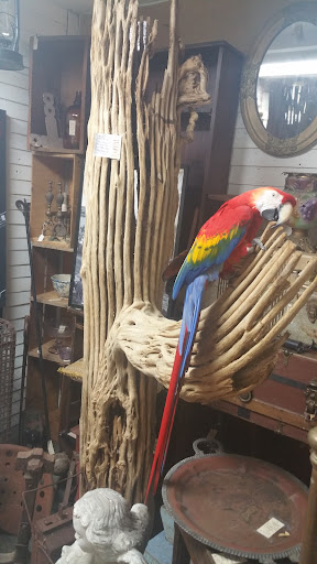 Pet Supply Store «PetSmart», reviews and photos, 33963 Doheny Park Rd, San Juan Capistrano, CA 92675, USA