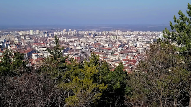 Отзиви за Държавно Горско Стопанство в Враца - Застрахователна агенция