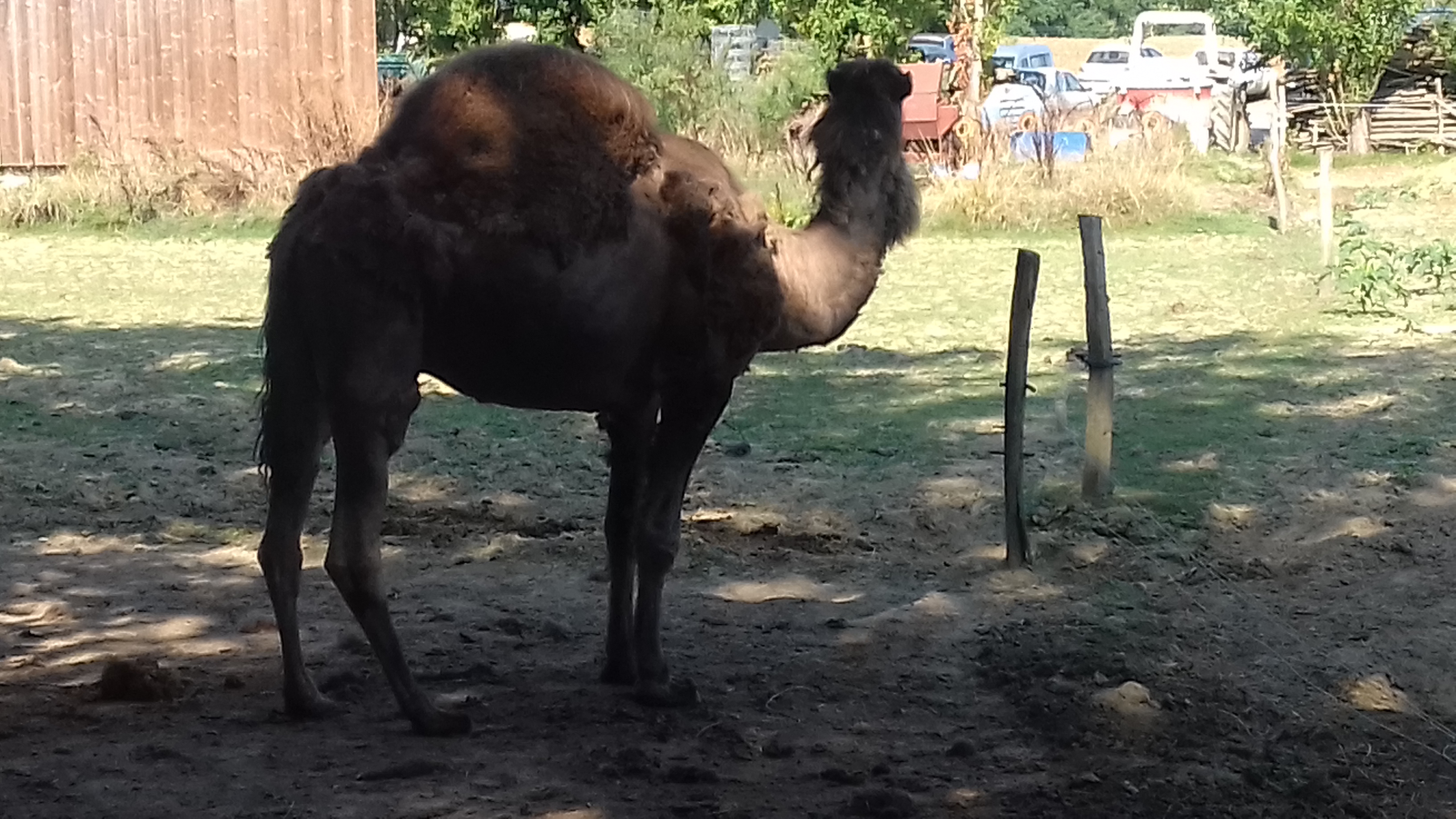 Photo n° 4 de l'avis de Laurent.o fait le 20/08/2018 à 10:25