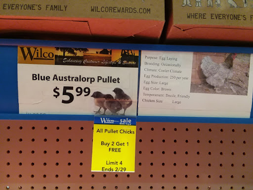 Animal Feed Store «Wilco Farm Store», reviews and photos, 664 W Baseline St, Cornelius, OR 97113, USA