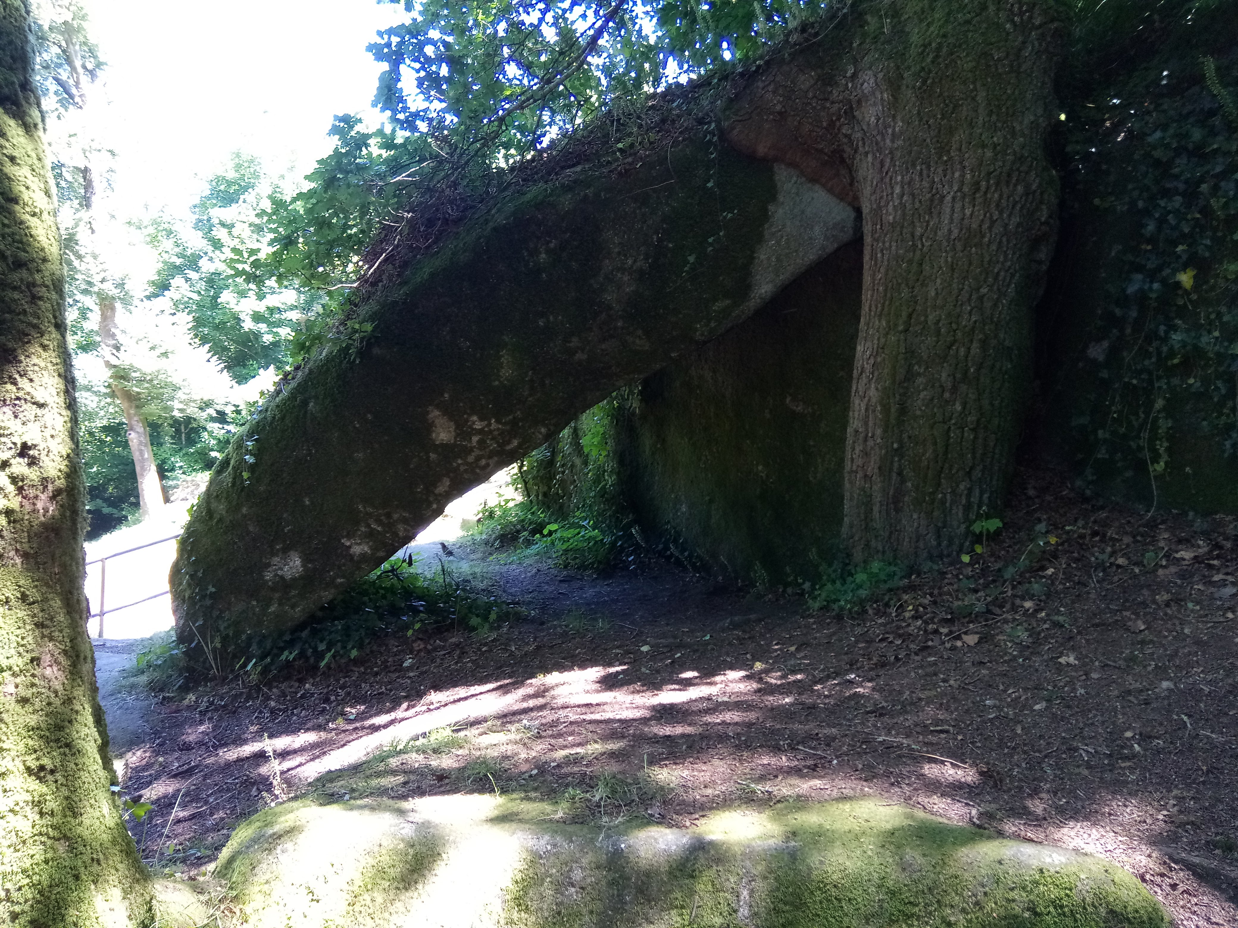 Photo n° 26 de l'avis de Christophe.n fait le 09/07/2018 à 16:57