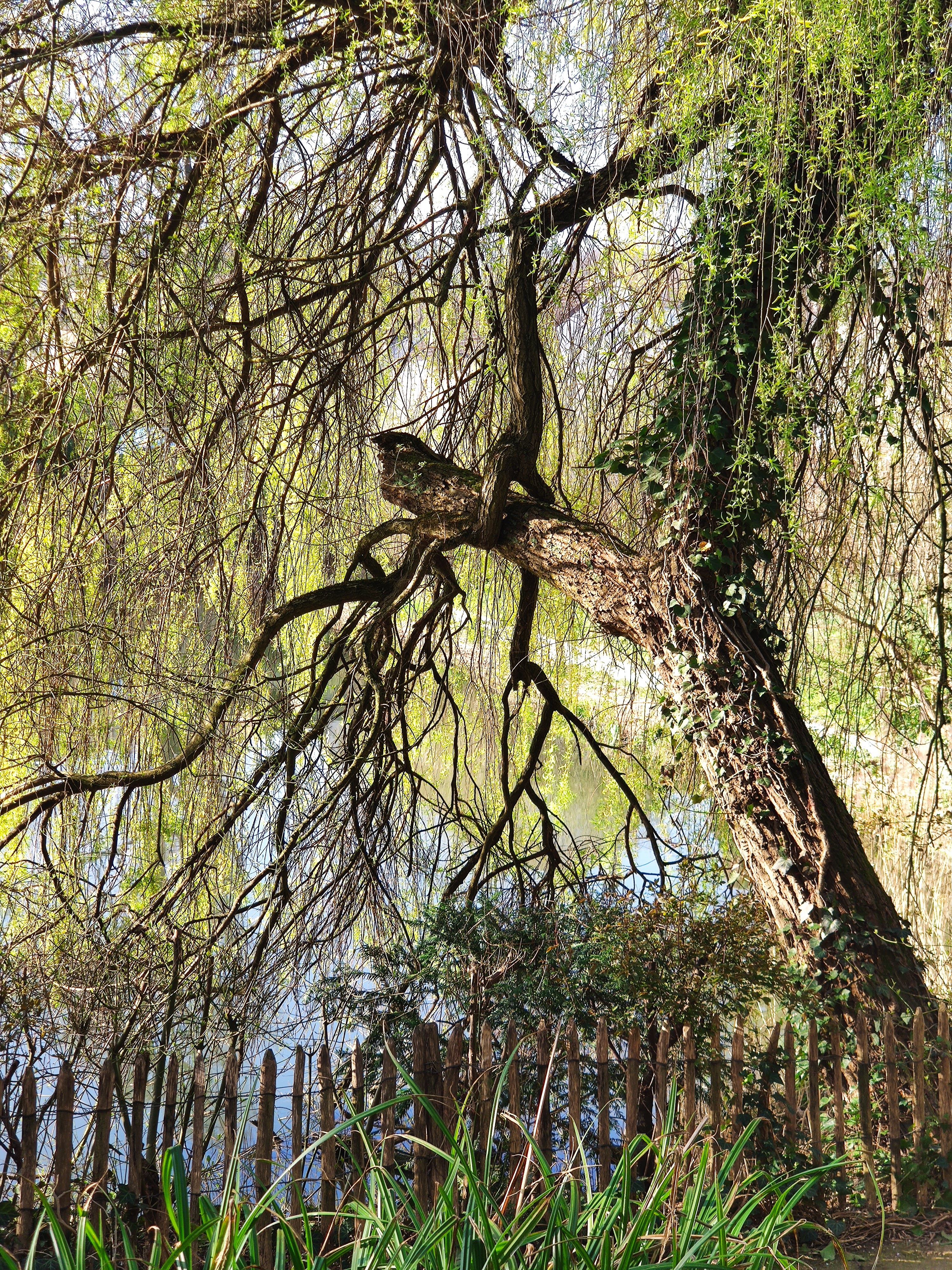 Photo n° 3 de l'avis de Marc.l fait le 21/04/2021 à 10:14