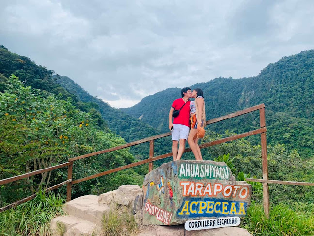 Opiniones de PURA SELVA TOURS TARAPOTO en Tarapoto - Agencia de viajes