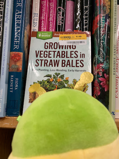 Book Store «Half Price Books», reviews and photos, 31 Orland Square Dr, Orland Park, IL 60462, USA