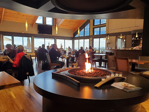 Vineyard «Willamette Valley Vineyards», reviews and photos, 8800 Enchanted Way SE, Turner, OR 97392, USA