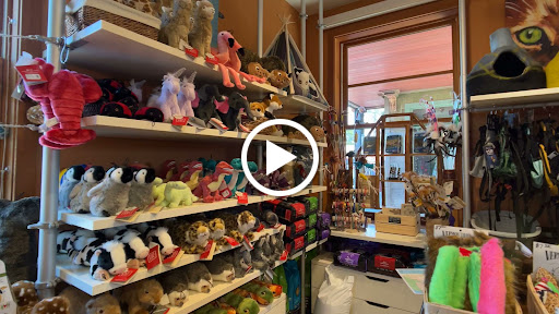 Pet Store «Four Paws on the Beach», reviews and photos, 144 Laneda Ave, Manzanita, OR 97130, USA