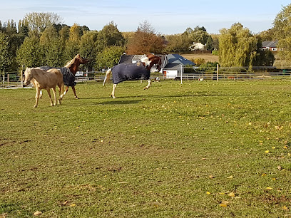 Sterrebeek Equestrian Farm