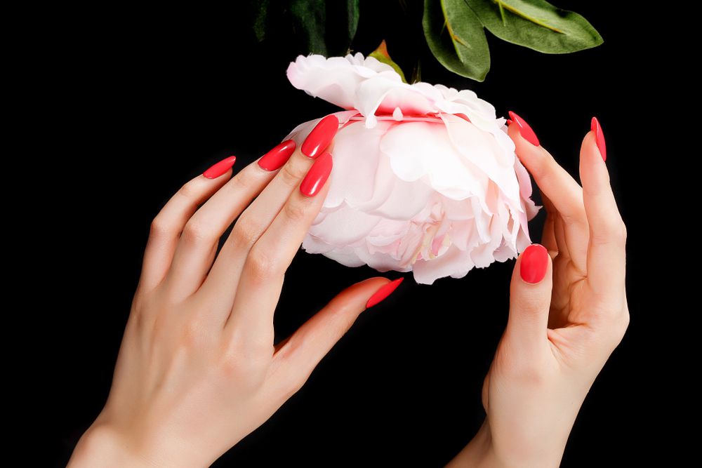 My Nails and Spa Jonesboro, AR 72401 Services and Reviews