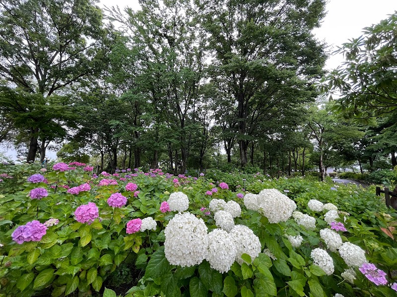 もりやま芦刈園