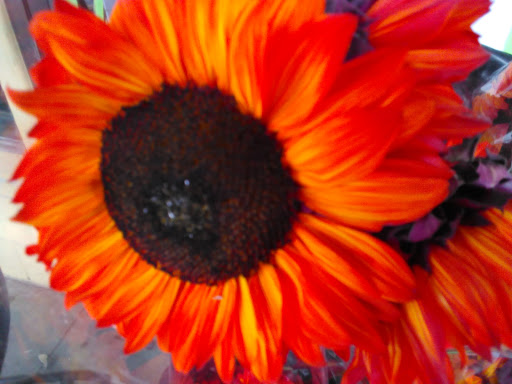 Grocery Store «The Goose», reviews and photos, 14485 WA-525, Langley, WA 98260, USA