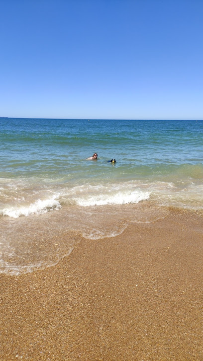 PLAYA CANINA DEL ESPIGÓN DE HUELVA