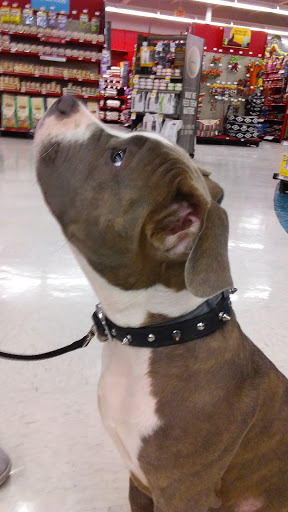 Pet Supply Store «Petco Animal Supplies», reviews and photos, 2520 E 3rd St, Bloomington, IN 47401, USA