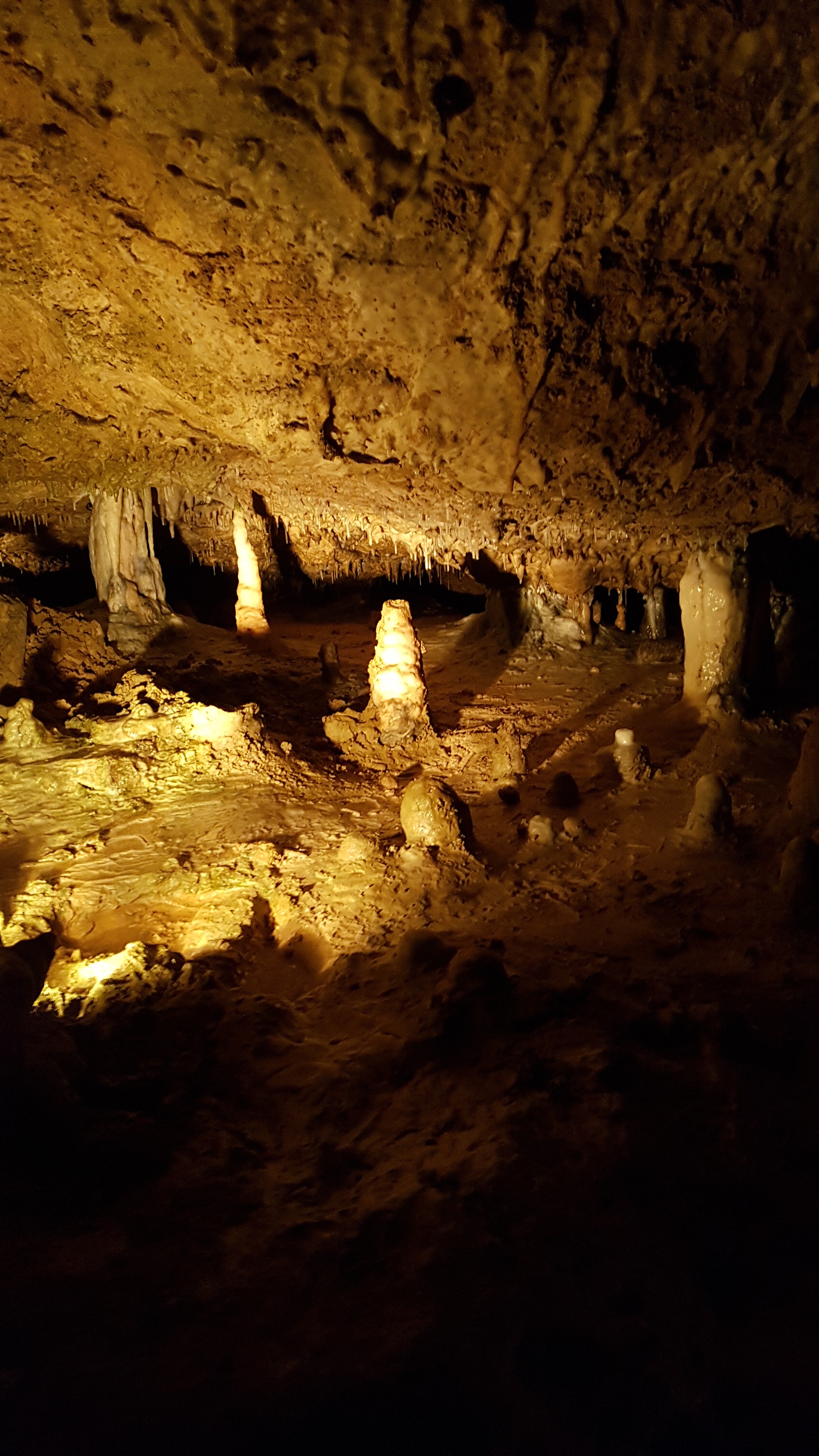 Photo n° 27 de l'avis de delphine.l fait le 25/08/2018 à 12:52