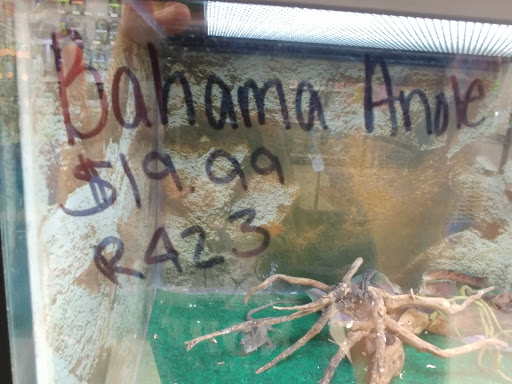 Pet Store «We Love Pets», reviews and photos, 1433 Coshocton Ave, Mt Vernon, OH 43050, USA