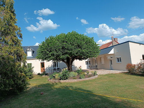 les roseaux à Le Controis-en-Sologne