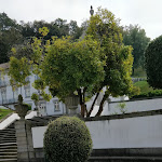 Photo n°3 de l'avis de Adalberto.l fait le 03/10/2019 à 15:16 sur le  Hotéis Bom Jesus à Braga