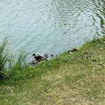 Photo n°1 de l'avis de Mailen.r fait le 23/08/2021 à 16:10 sur le  Lago Azzurro Camping Area Camper à Marina di Altidona