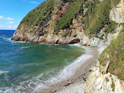 Cala de Salencia'in fotoğrafı vahşi alan