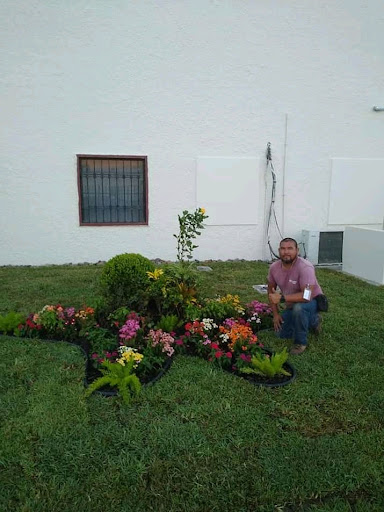 Vivero y jardinería las flores