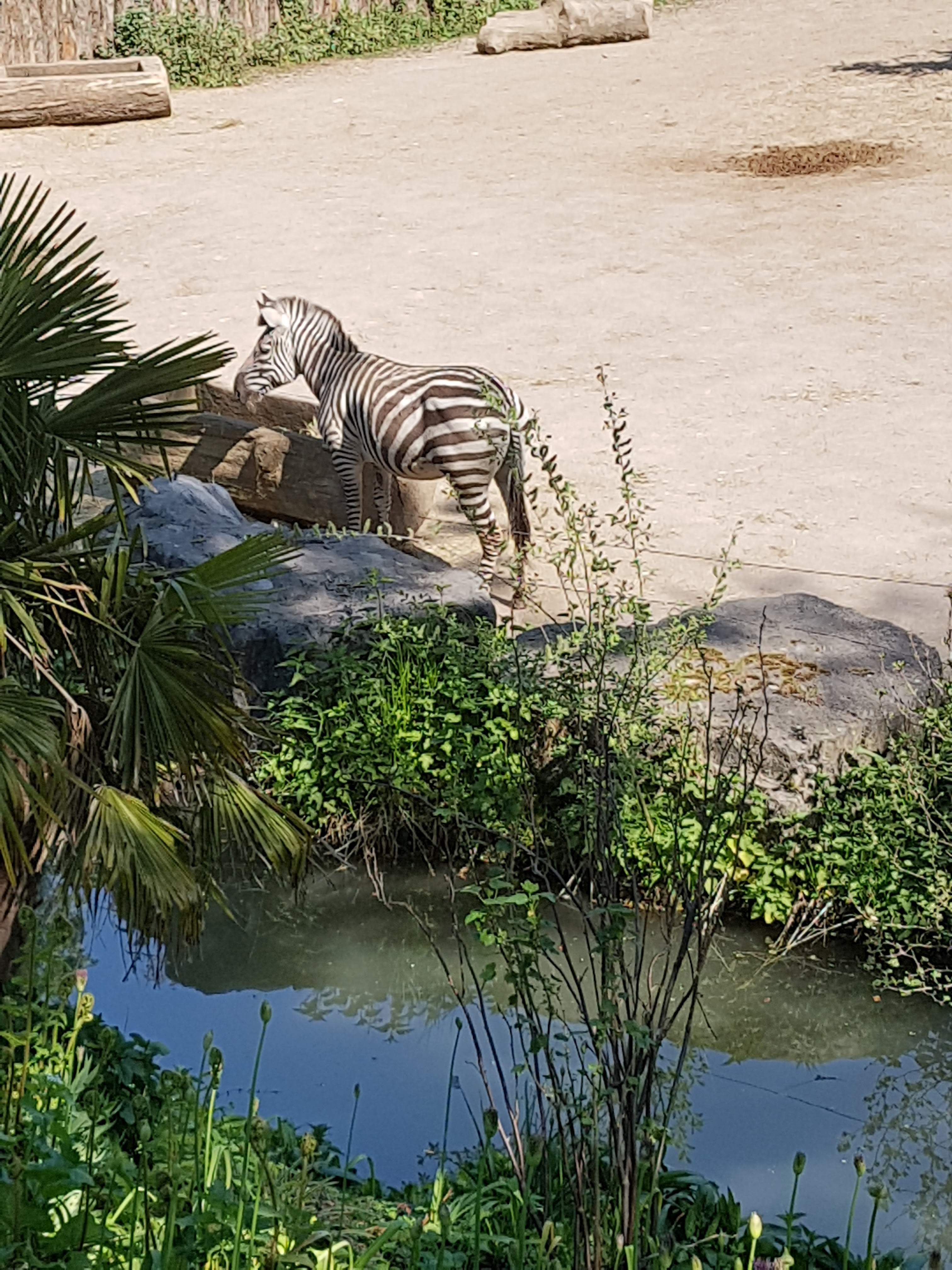 Photo n° 9 de l'avis de Celia.a fait le 30/04/2019 à 08:20