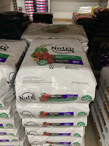 Pet Supply Store «Pet Club San Jose», reviews and photos, 5625 Snell Ave, San Jose, CA 95123, USA