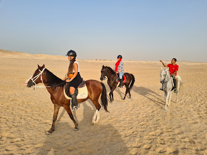Jasmin Stables – Arabian VIP Horse Riding in Luxor