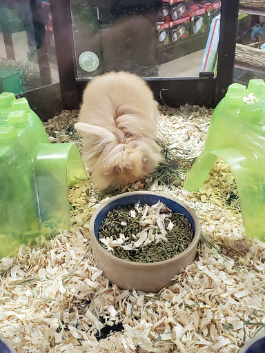 Pet Store «Pet Advantage», reviews and photos, 350 Dorset St # 1, South Burlington, VT 05403, USA