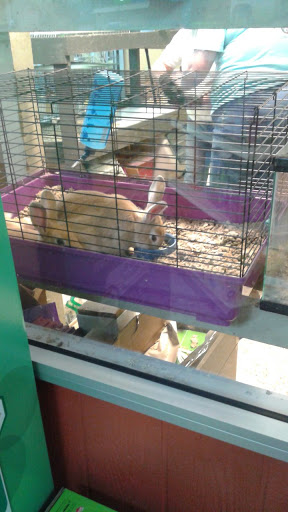 Pet Store «Southside Pet Shop», reviews and photos, 7031 Southside Dr, Louisville, KY 40214, USA