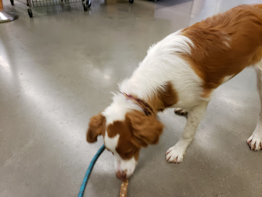 Pet Supply Store «Petco Animal Supplies», reviews and photos, 298 Spring Creek Drive, Franklin, TN 37067, USA
