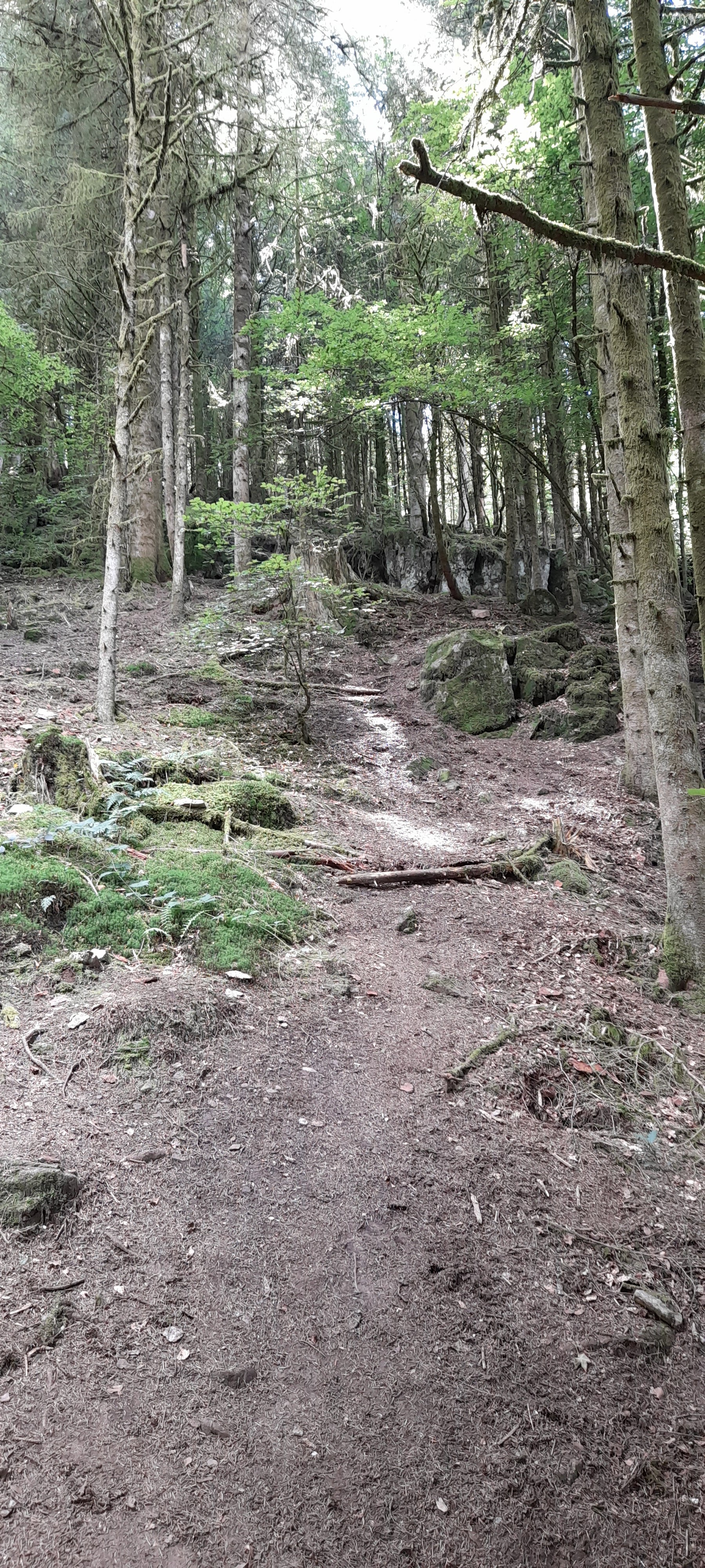 Photo n° 10 de l'avis de Philippe.e fait le 10/08/2021 à 15:47