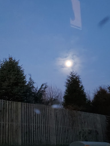 Surplus Store «Priority One Surplus», reviews and photos, 1708 Tilden Ridge Dr, Hamburg, PA 19526, USA