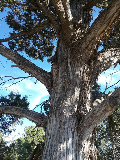 Hotel «Far View Lodge», reviews and photos