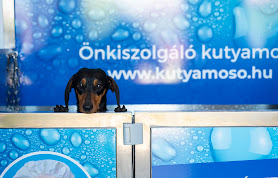 Wash & Vau önkiszolgáló kutyamosó Nyíregyháza