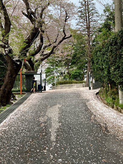 川口市立芝中学校