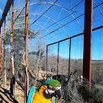 Photo n° 3 de l'avis de Alex. fait le 23/02/2020 à 19:50 pour Zoo Parc des félins, les 3 Vallées à Montredon-Labessonnié