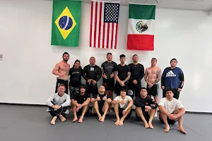 MLG Brazilian Jiu-Jitsu-MMA image