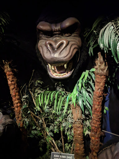 Gift Shop «Lucky Lizard Curios & Gifts», reviews and photos, 412 E 6th St, Austin, TX 78701, USA