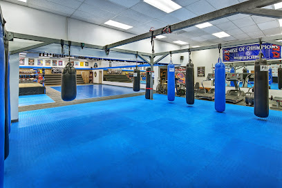 House of Champions Academy of Martial Arts - 17228 Saticoy St, Van Nuys, CA 91406