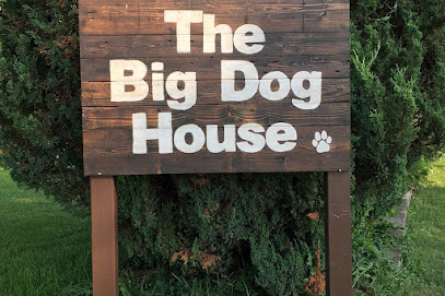 The Big Dog House