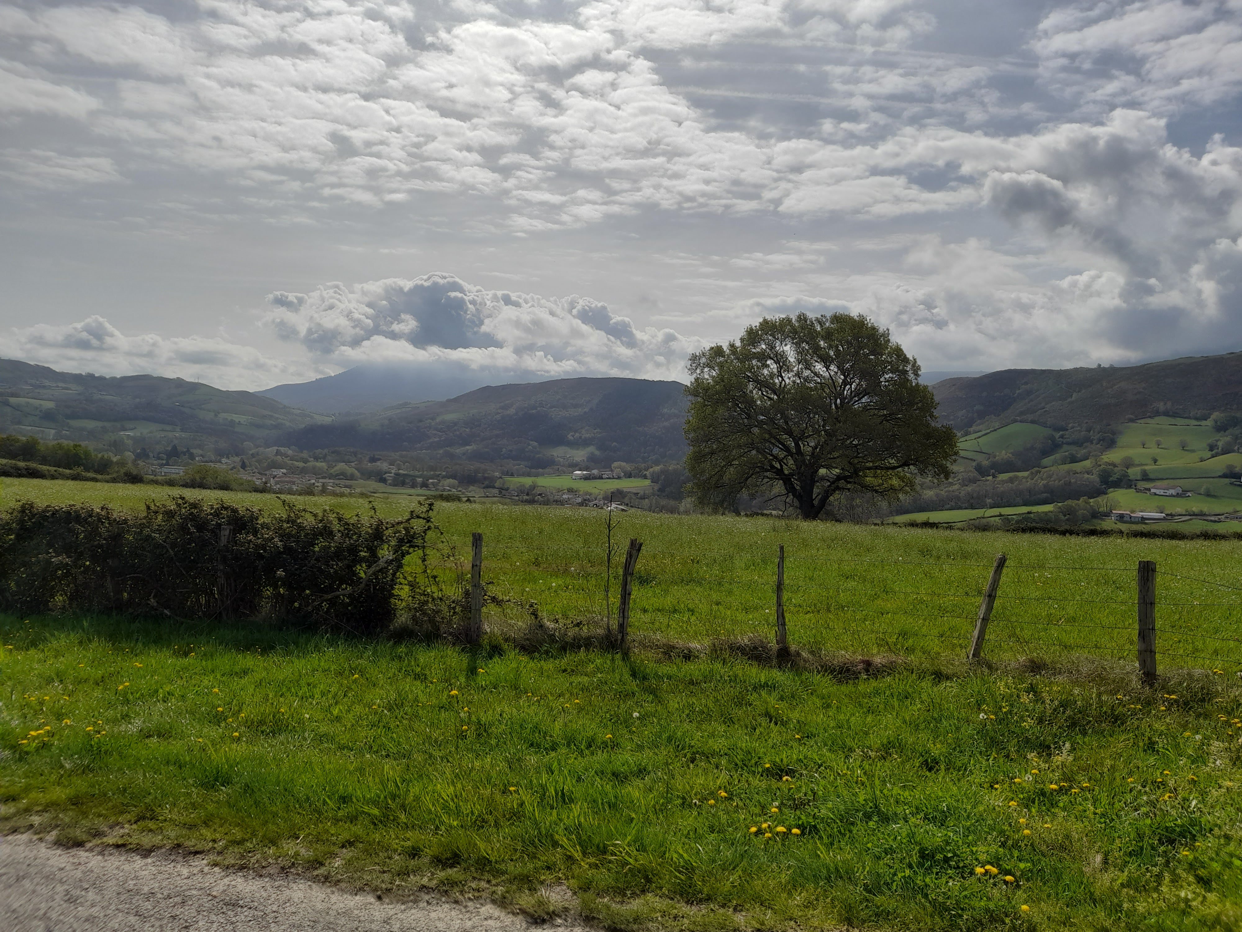 Photo n° 2 de l'avis de rené.a fait le 12/04/2023 à 15:26