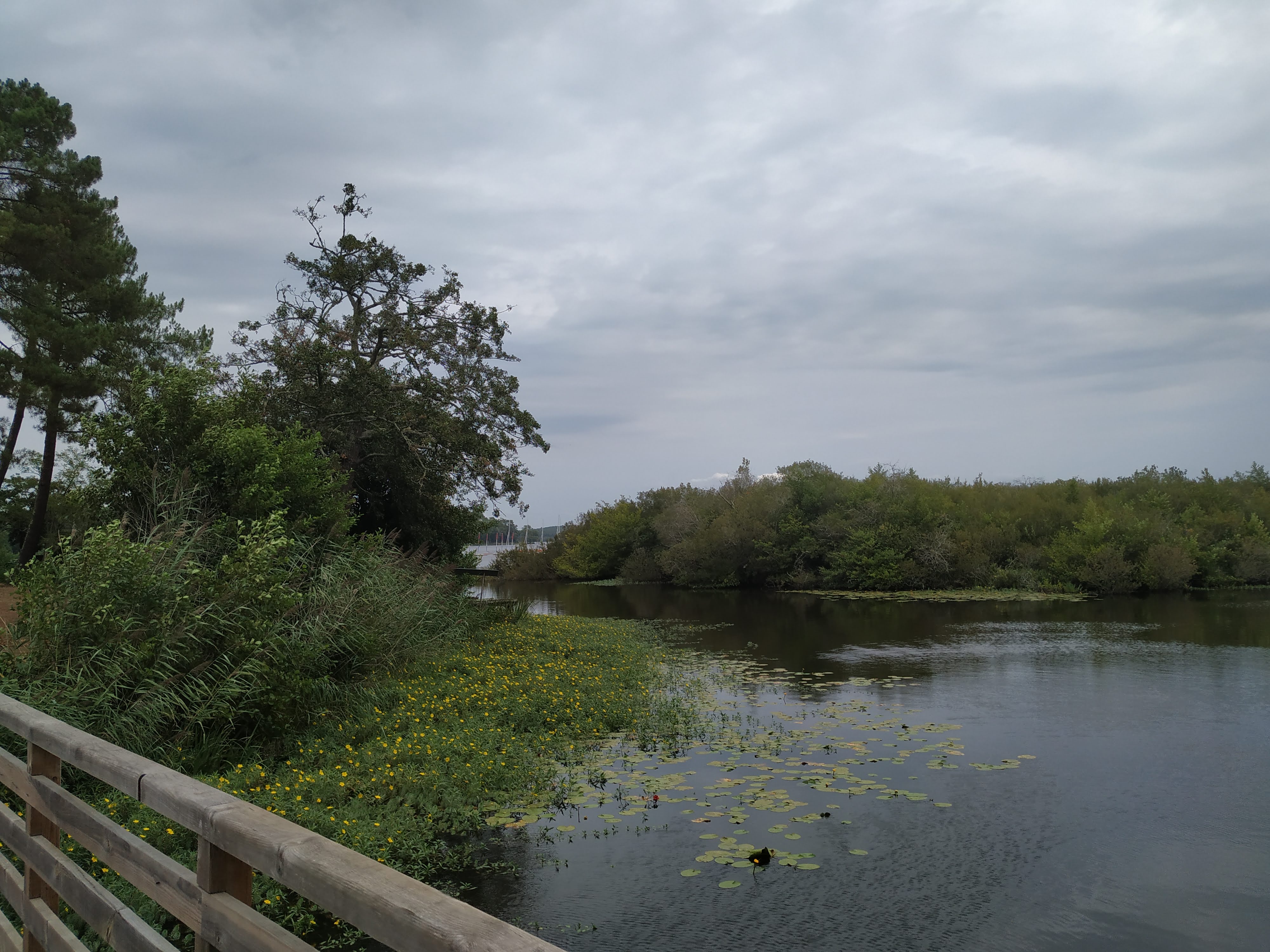 Photo n° 30 de l'avis de emmanuel.6 fait le 27/08/2019 à 16:24