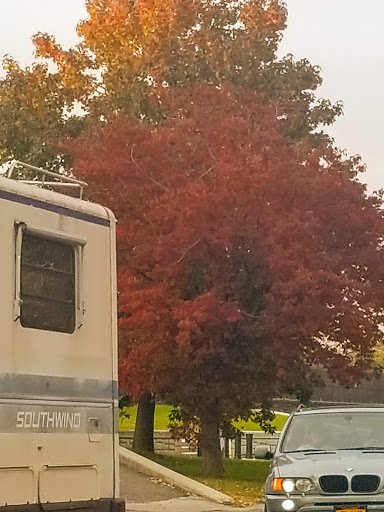 Park «Harris Park», reviews and photos, Goulden Ave, Bronx, NY 10468, USA